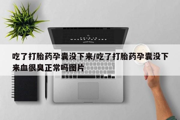打胎药货到付款吃了打胎药孕囊没下来/吃了打胎药孕囊没下来血很臭正常吗图片
